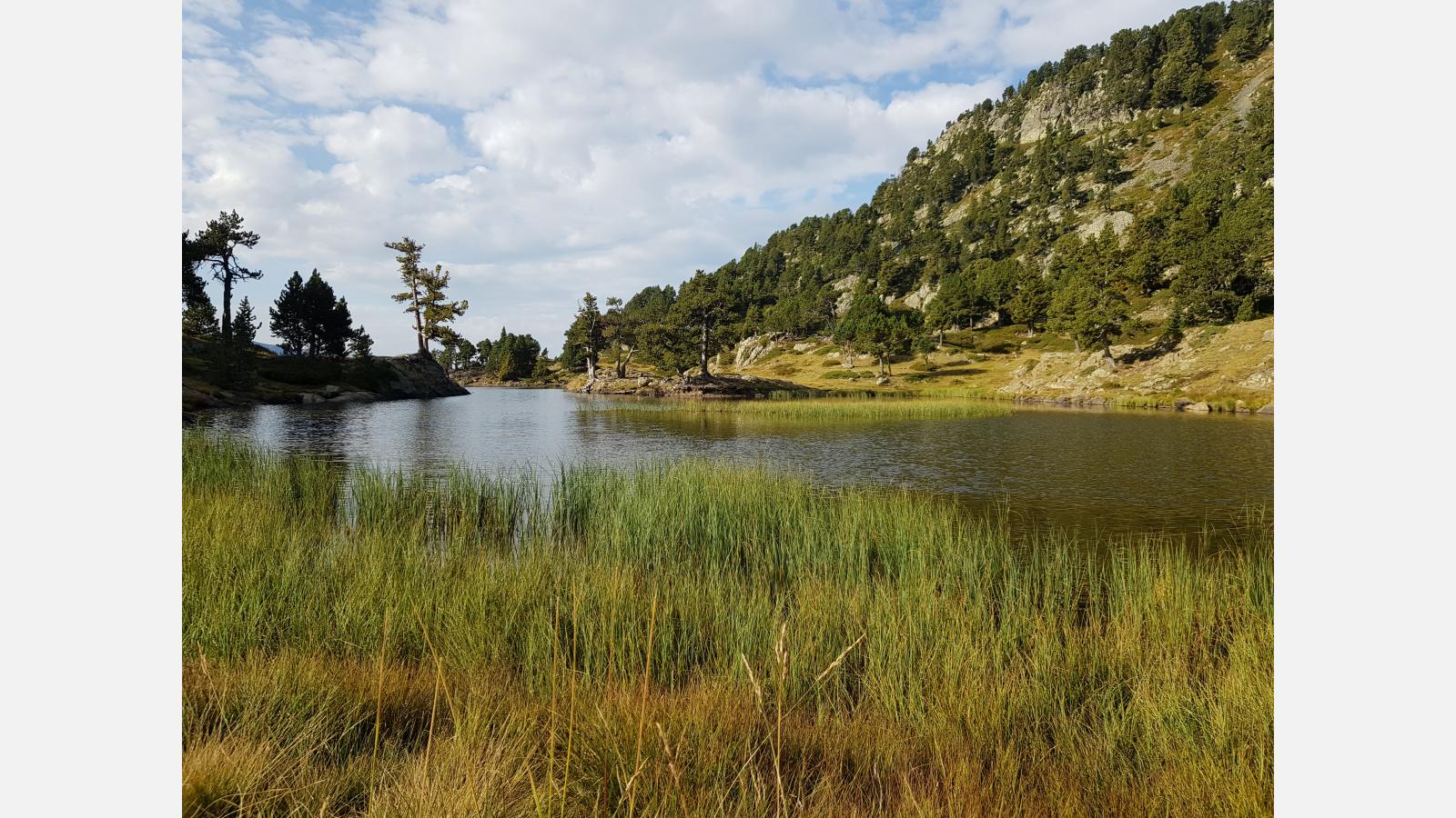 lac achard